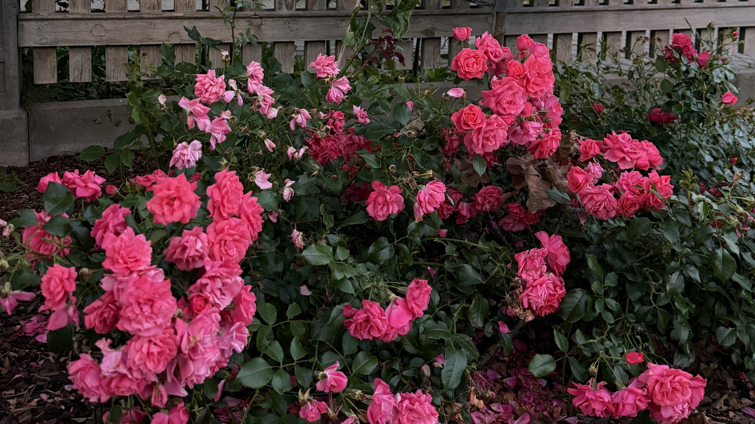 How to Romanticize September: Simple Ways to Make This Month Feel Special